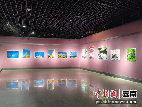 玉溪卷烟厂退休职工摄影作品在玉溪市博物馆展出