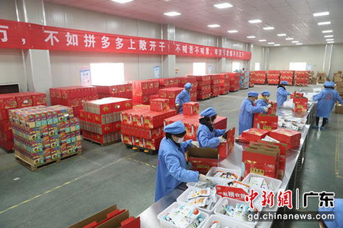 拼多多年货节爆卖超2亿单 广东购买力雄冠全国
