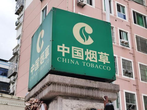 我,山东大学硕士毕业,入职山东烟草,透露薪资待遇